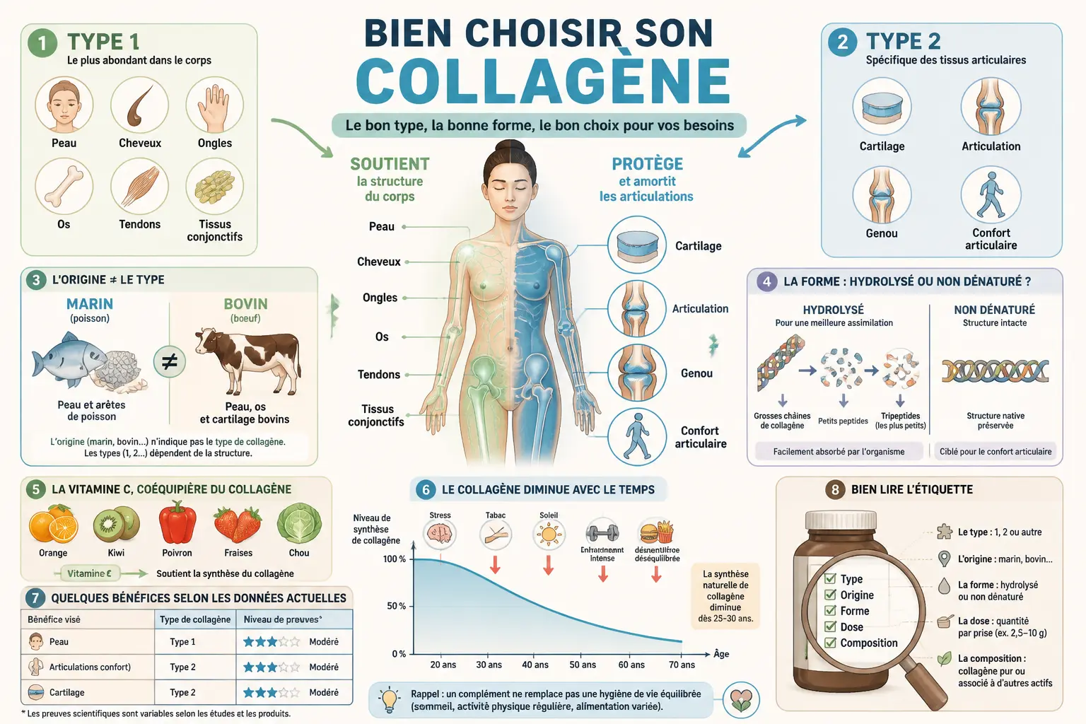 Infographie sur collagene type 1 ou 2 : peau, articulations, sources, vitamine C et conseils de choix