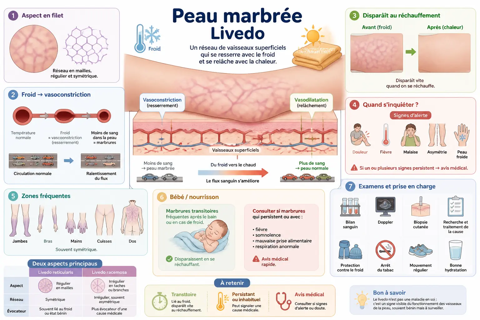 Infographie sur les marbrures peau et le livedo : réseau violet, froid, réchauffement, signes d’alerte et examens.