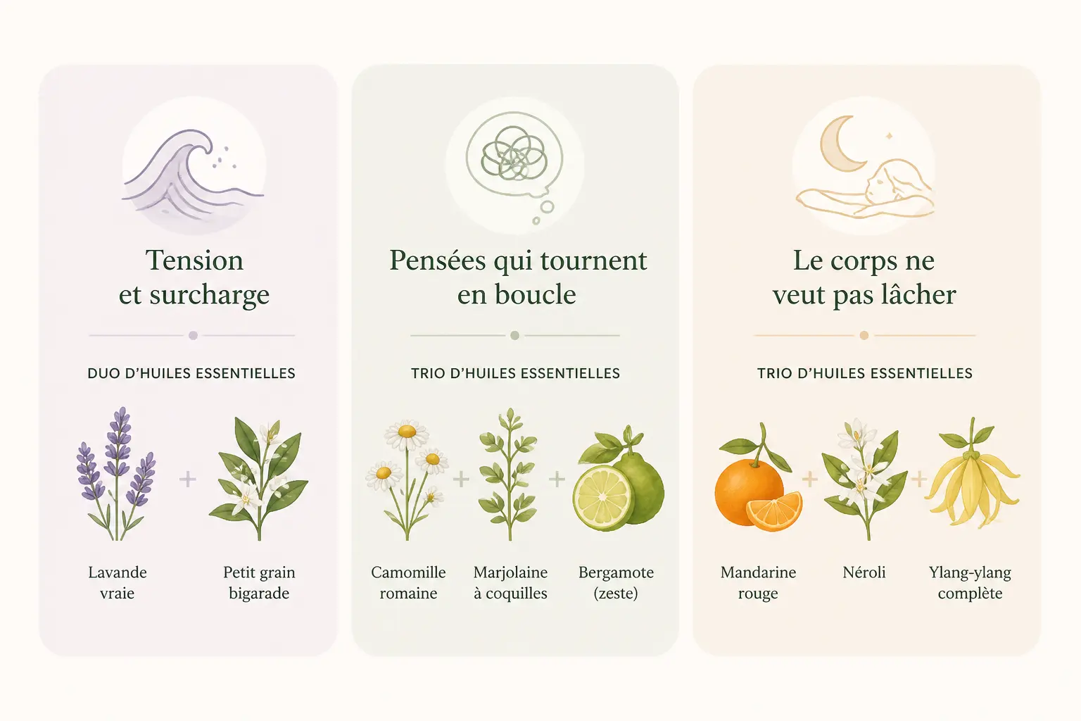 Huiles essentielles anti stress : trois états émotionnels et leurs huiles associées en cartes claires
